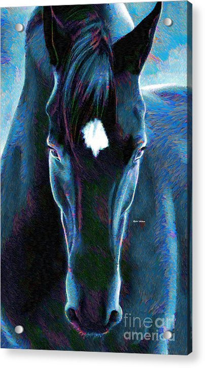 Acrylic Print - Stallion