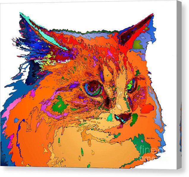 Canvas Print - Stella The Cat. Pet Series