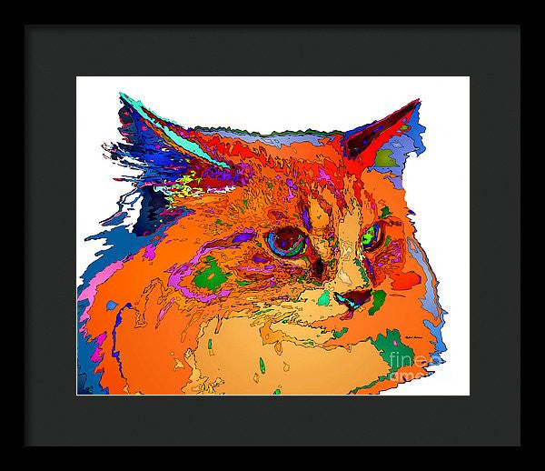 Framed Print - Stella The Cat. Pet Series