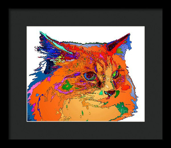 Framed Print - Stella The Cat. Pet Series