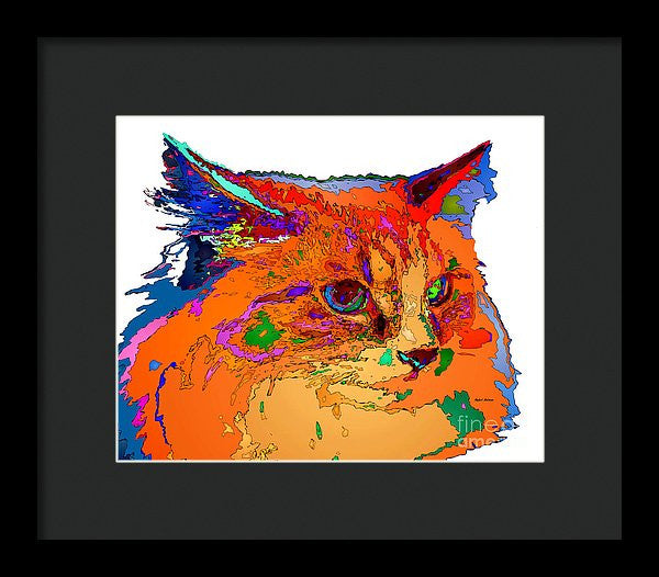 Framed Print - Stella The Cat. Pet Series