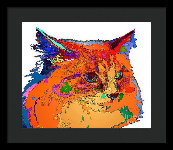 Framed Print - Stella The Cat. Pet Series