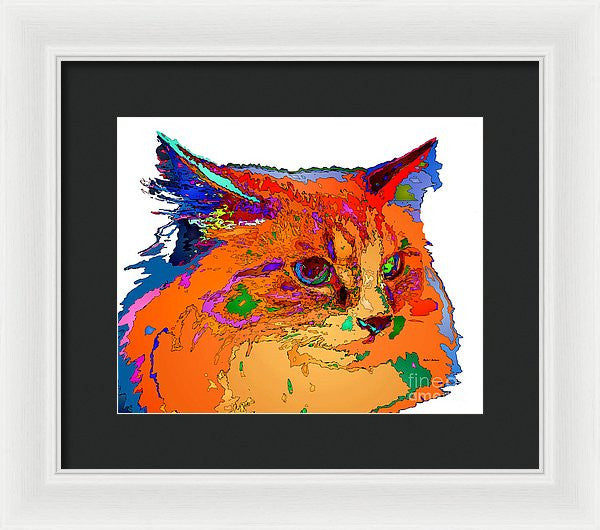 Framed Print - Stella The Cat. Pet Series