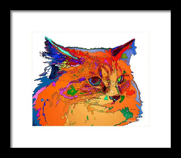 Framed Print - Stella The Cat. Pet Series