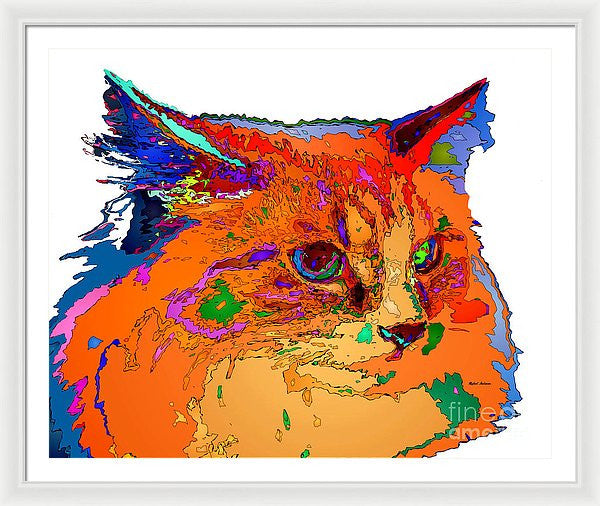 Framed Print - Stella The Cat. Pet Series