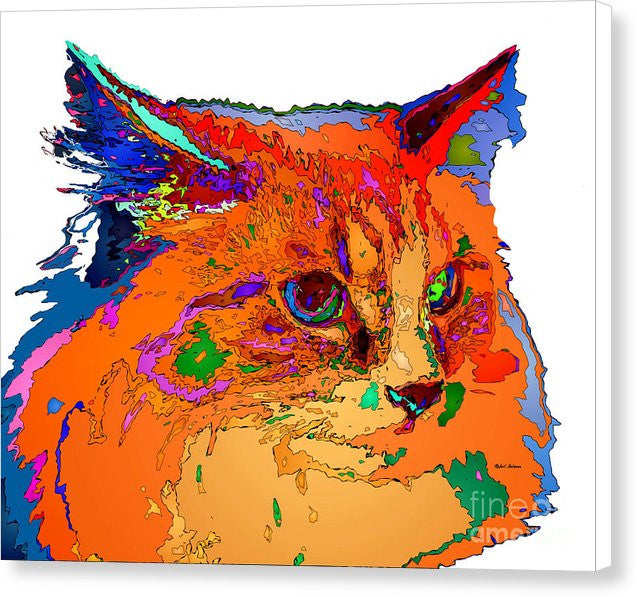 Canvas Print - Stella The Cat. Pet Series