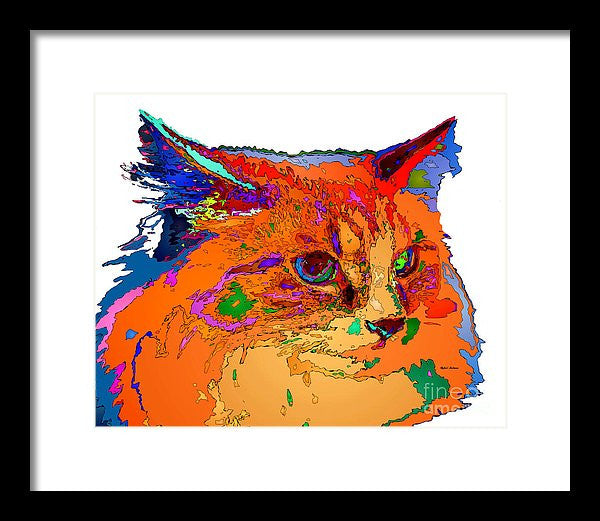 Framed Print - Stella The Cat. Pet Series