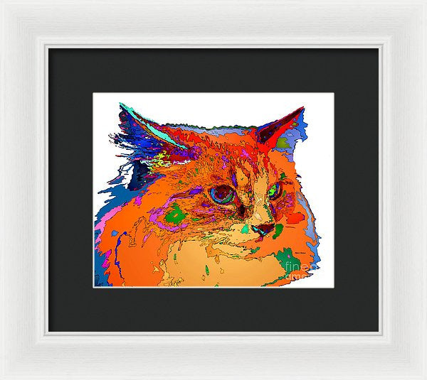 Framed Print - Stella The Cat. Pet Series