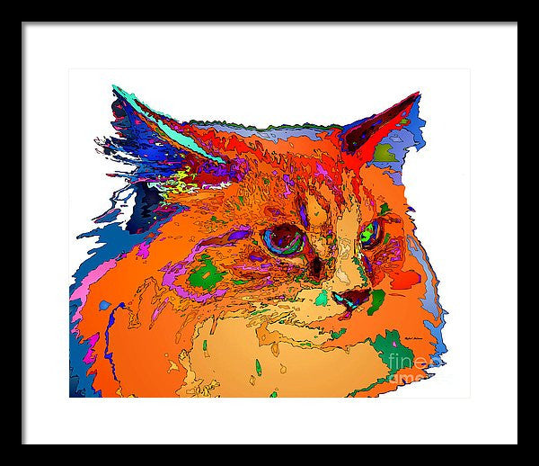 Framed Print - Stella The Cat. Pet Series