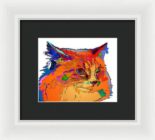 Framed Print - Stella The Cat. Pet Series