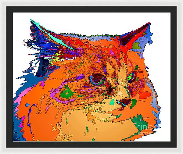 Framed Print - Stella The Cat. Pet Series