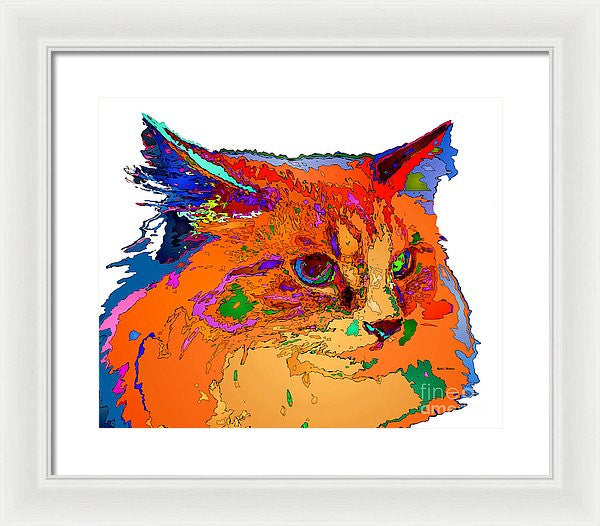 Framed Print - Stella The Cat. Pet Series