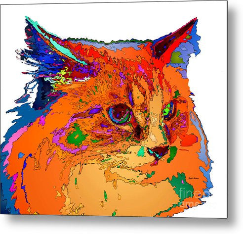 Metal Print - Stella The Cat. Pet Series