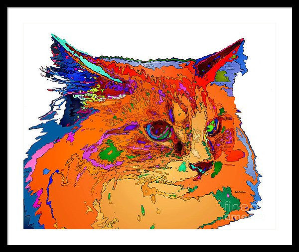 Framed Print - Stella The Cat. Pet Series