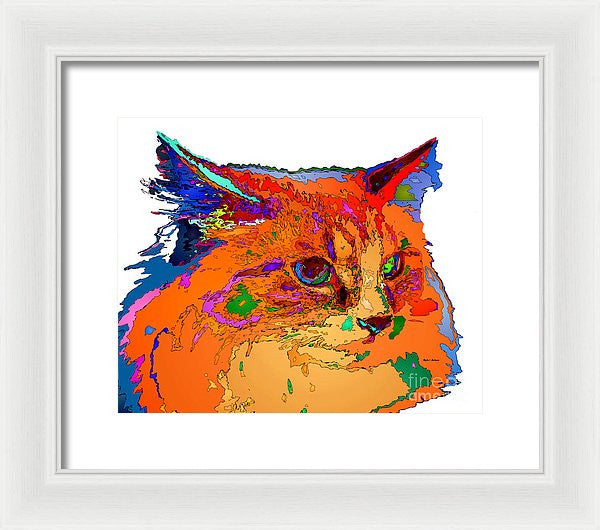 Framed Print - Stella The Cat. Pet Series