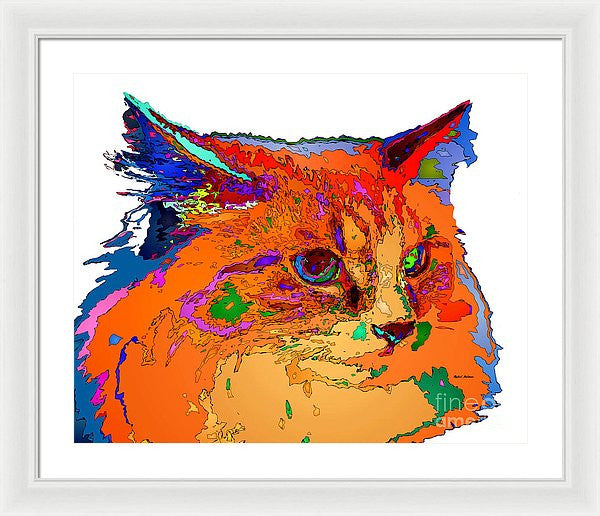 Framed Print - Stella The Cat. Pet Series