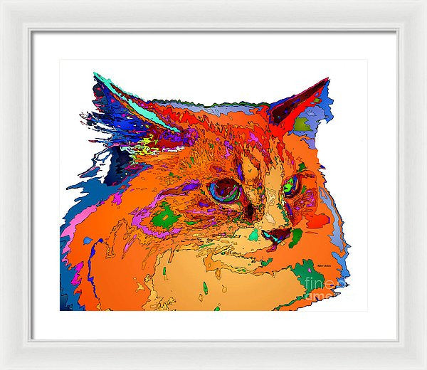 Framed Print - Stella The Cat. Pet Series