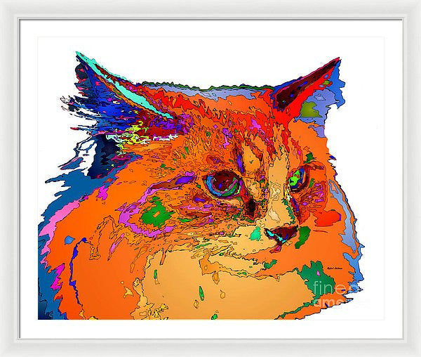 Framed Print - Stella The Cat. Pet Series