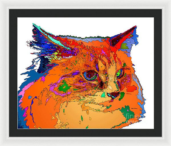 Framed Print - Stella The Cat. Pet Series