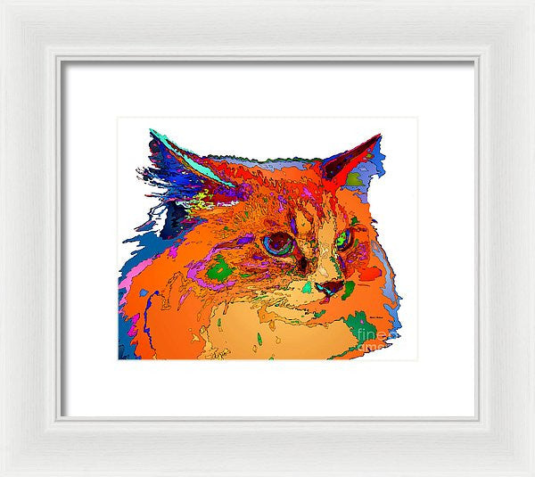 Framed Print - Stella The Cat. Pet Series