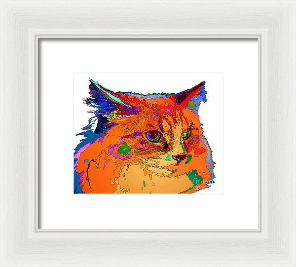 Framed Print - Stella The Cat. Pet Series