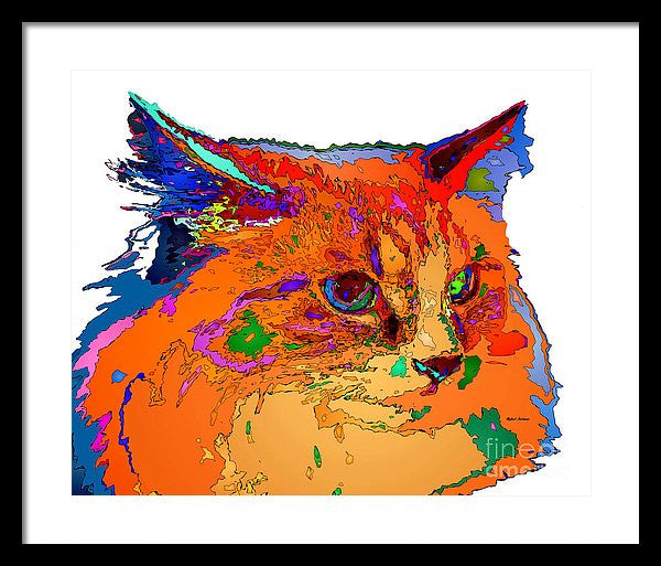 Framed Print - Stella The Cat. Pet Series