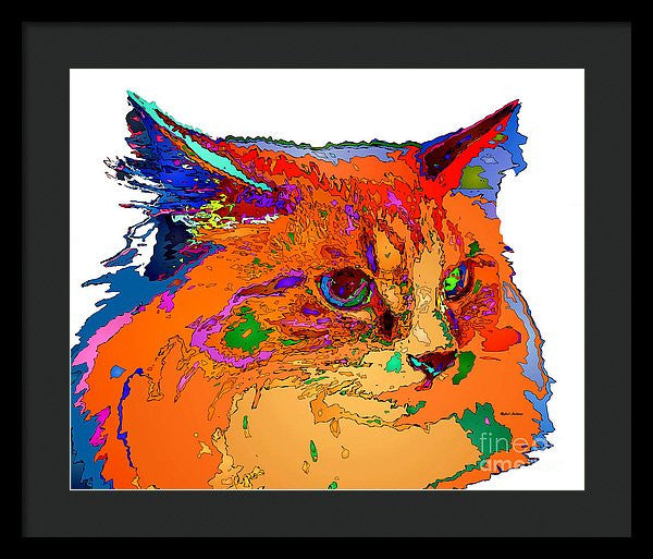 Framed Print - Stella The Cat. Pet Series