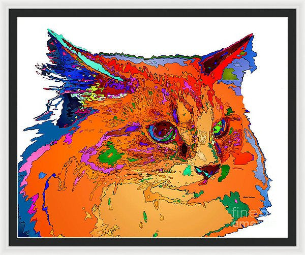 Framed Print - Stella The Cat. Pet Series