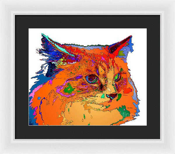 Framed Print - Stella The Cat. Pet Series