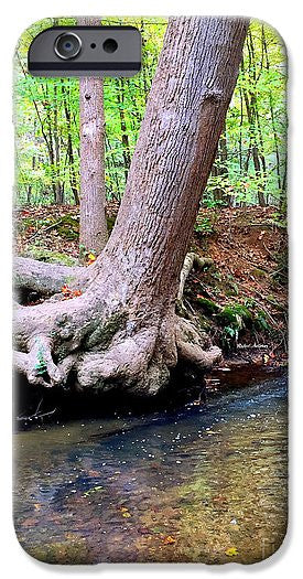 Art Print - Still Standing Tree