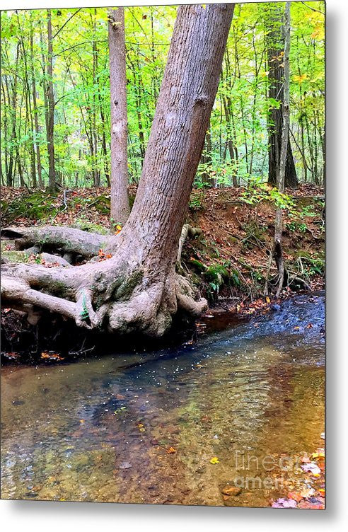 Metal Print - Still Standing Tree