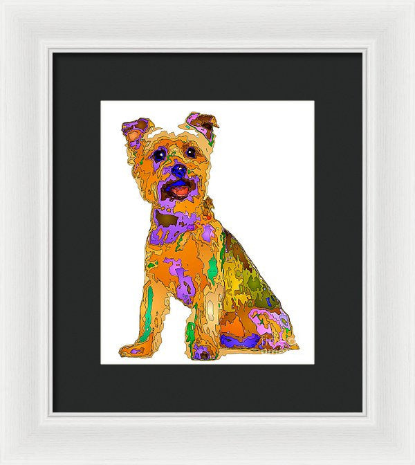 Framed Print - The Best Dog. Pet Series