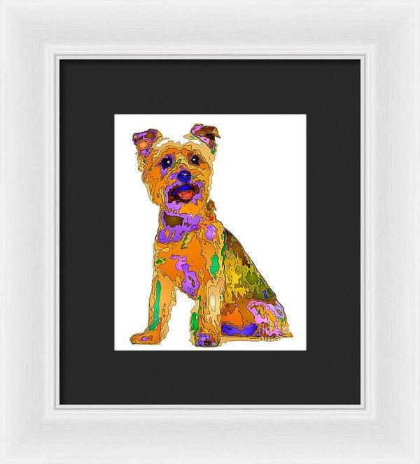 Framed Print - The Best Dog. Pet Series