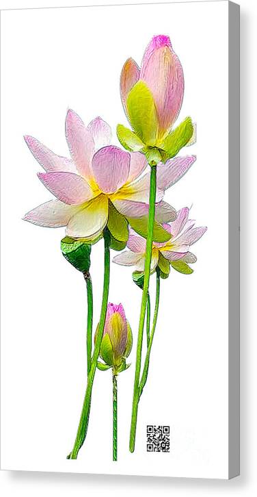 Tulipan - Canvas Print