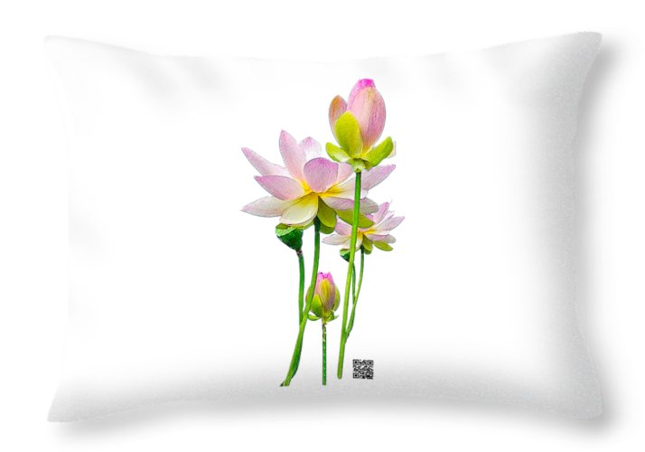 Tulipan - Throw Pillow