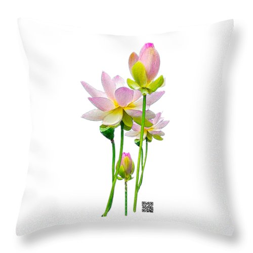 Tulipan - Throw Pillow