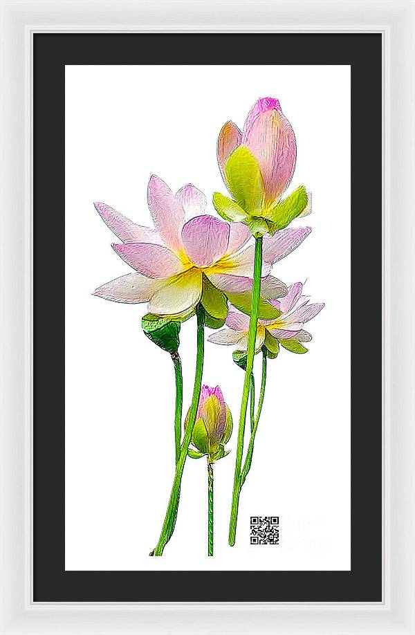 Tulipan - Framed Print