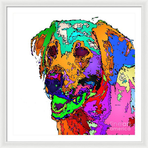 Framed Print - Want To Go For A Walk. Pet Series