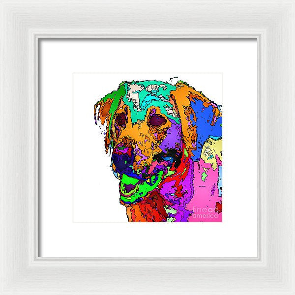 Framed Print - Want To Go For A Walk. Pet Series