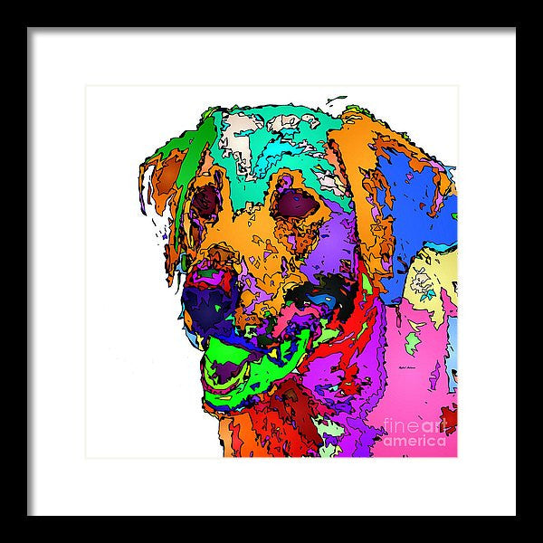 Framed Print - Want To Go For A Walk. Pet Series