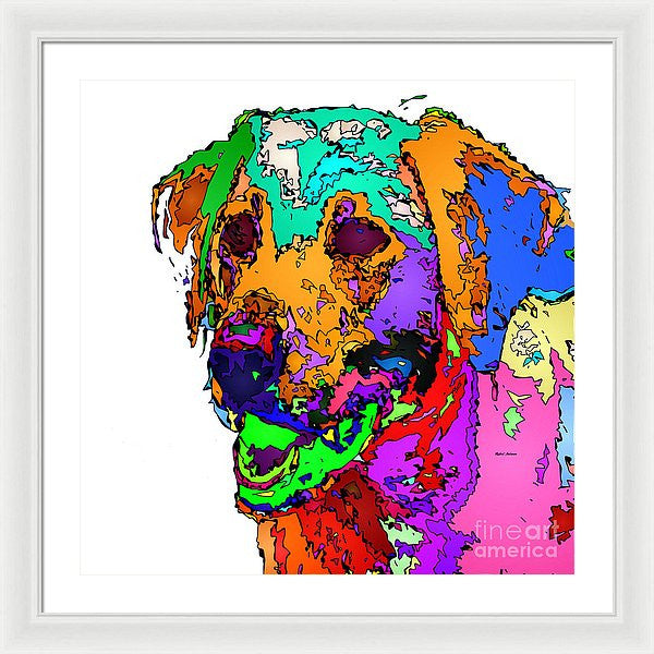 Framed Print - Want To Go For A Walk. Pet Series