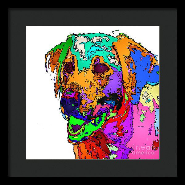 Framed Print - Want To Go For A Walk. Pet Series