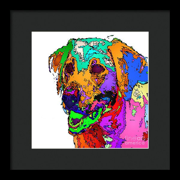 Framed Print - Want To Go For A Walk. Pet Series