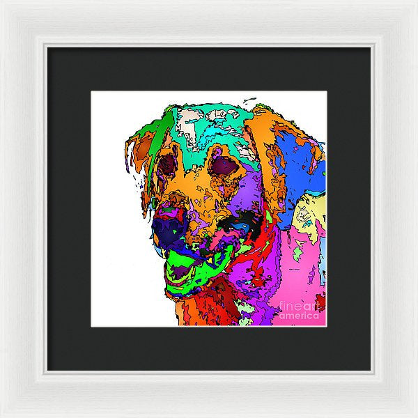 Framed Print - Want To Go For A Walk. Pet Series