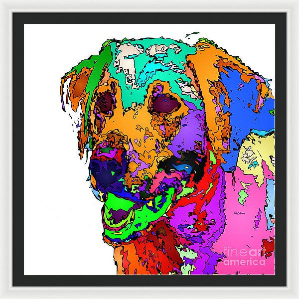 Framed Print - Want To Go For A Walk. Pet Series