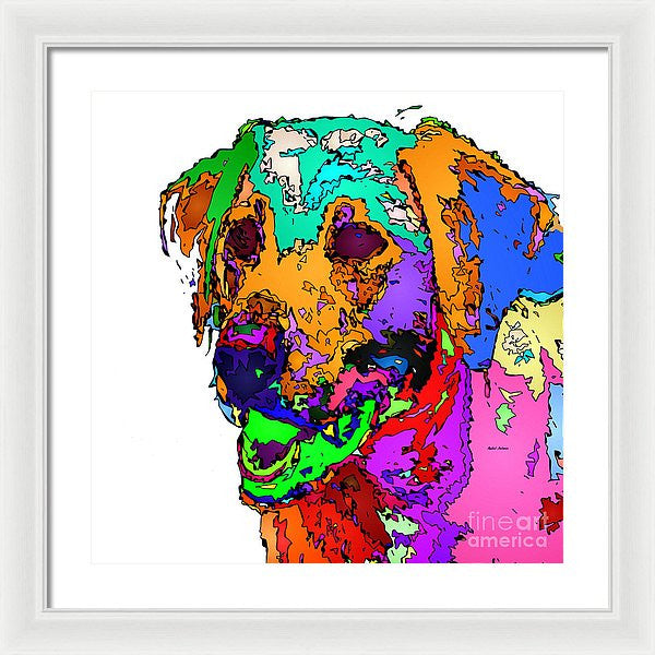 Framed Print - Want To Go For A Walk. Pet Series