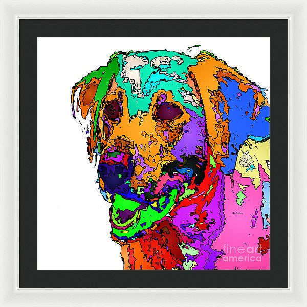 Framed Print - Want To Go For A Walk. Pet Series