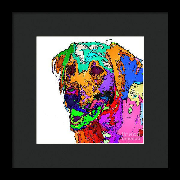 Framed Print - Want To Go For A Walk. Pet Series