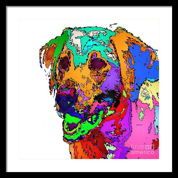 Framed Print - Want To Go For A Walk. Pet Series