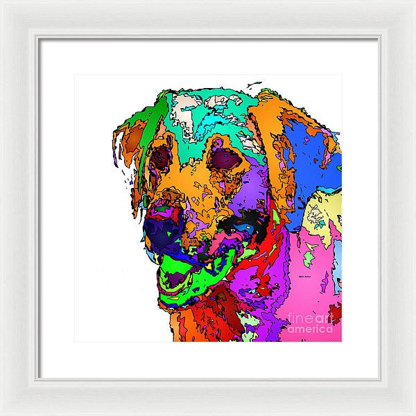 Framed Print - Want To Go For A Walk. Pet Series